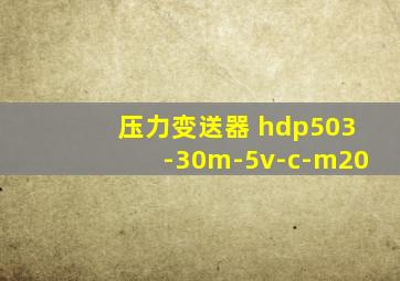 压力变送器 hdp503-30m-5v-c-m20